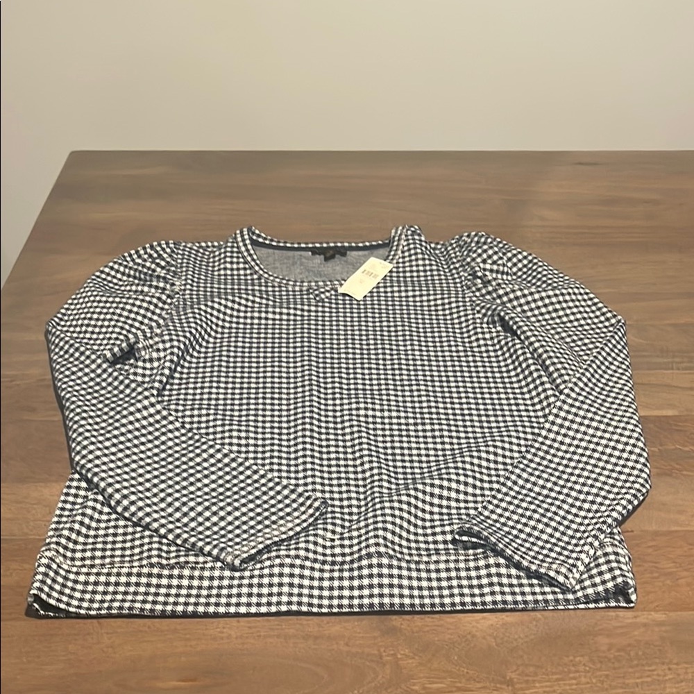 Anthropologie Blue and White Gingham Long Sleeve Top Sz M NWT
